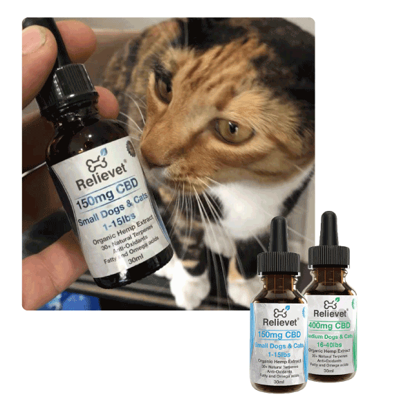 cbd for pets cat oil collection