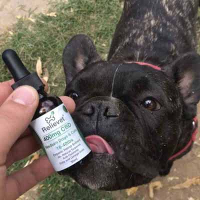 CBD hemp chews for dogs customer CBD hemp chews for dogs customer