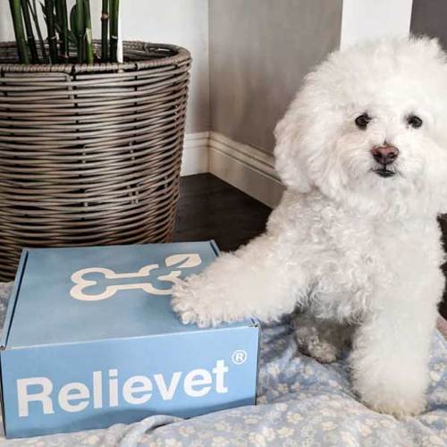 cbd for pets package cbd for pets package