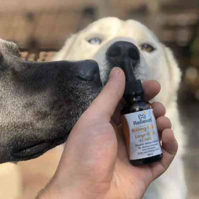 CBD hemp chews for dogs customer CBD hemp chews for dogs customer