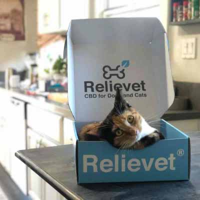 cbd for pets customer cbd for pets customer