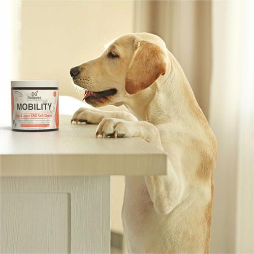 Mobility Hip and Joint Chews For Dogs Mobility Hip and Joint Chews For Dogs