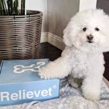 Mobility Hip and Joint Chews For Dogs customer Mobility Hip and Joint Chews For Dogs customer