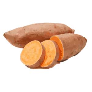 Sweet Potato Sweet Potato